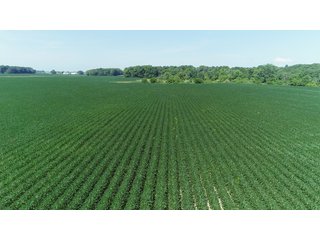 Farmland in Fulton & Marshall Counties, Indiana - LAND AUCTION - 541.3+/- ACRES IN 9 TRACTS IN FULTON & MARSHALL COUNTIES, INDIANA
